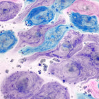 Gumdrop  - Mini Bath Bombs- Gift Bag